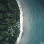 Welcome to the Future of WordPress with Gutenberg